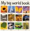 My big world book