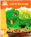 Lost in the jungle