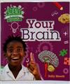 Your Brain